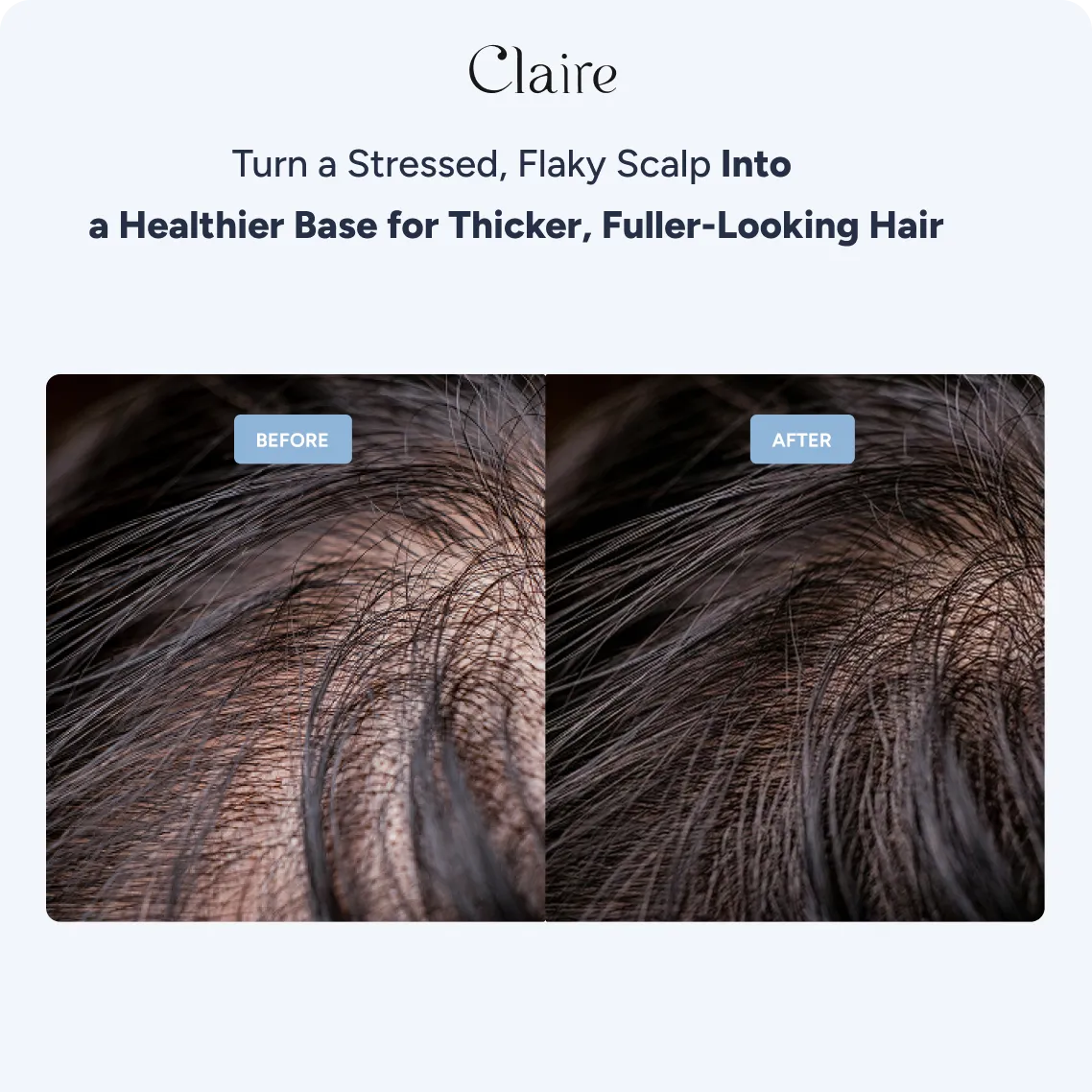 Claire Filtered Showerhead